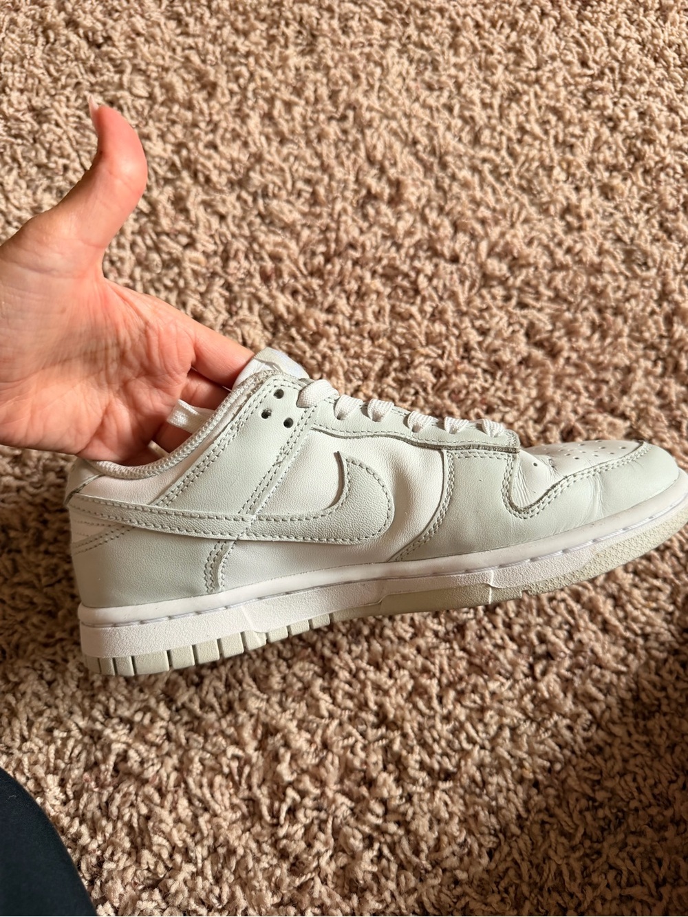 Nike White Low-Top Sneakers